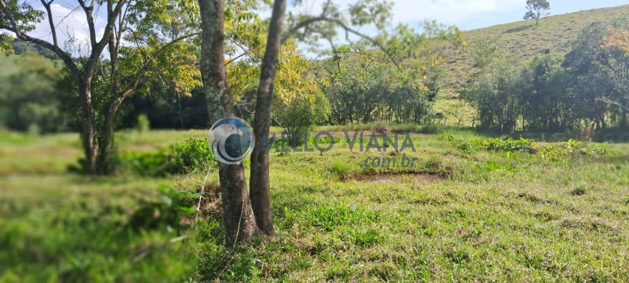 Sítio, 1 hectares - Foto 78