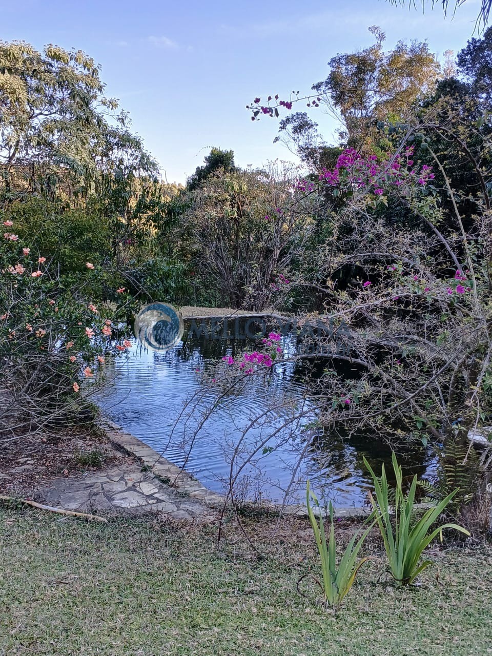Sítio à venda com 3 quartos, 15m² - Foto 8
