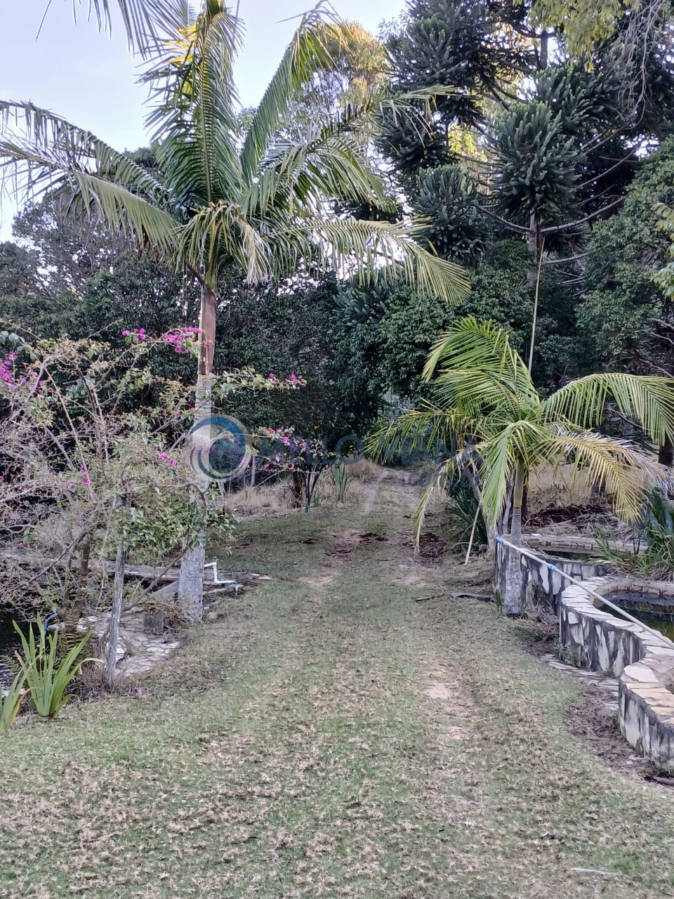 Sítio à venda com 3 quartos, 15m² - Foto 7