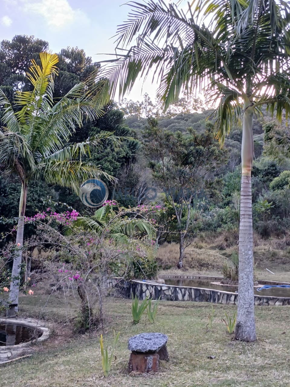 Sítio à venda com 3 quartos, 15m² - Foto 12