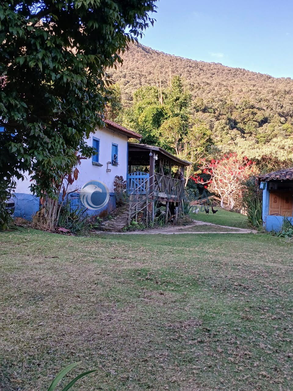 Sítio à venda com 3 quartos, 15m² - Foto 9