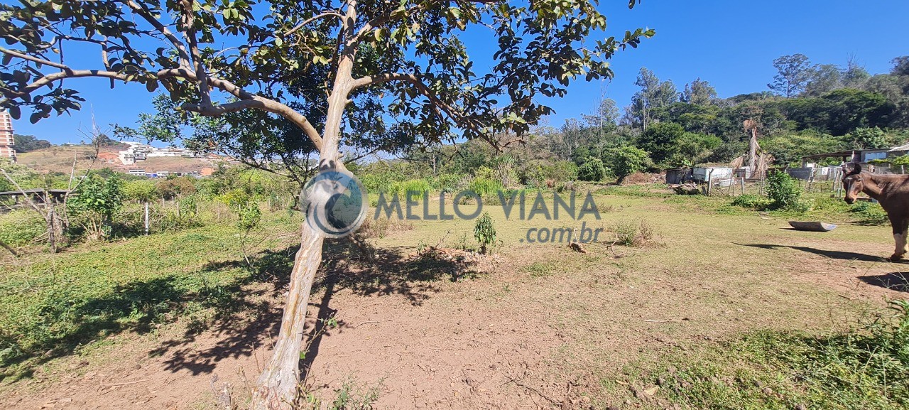 Terreno, 4223 m² - Foto 3