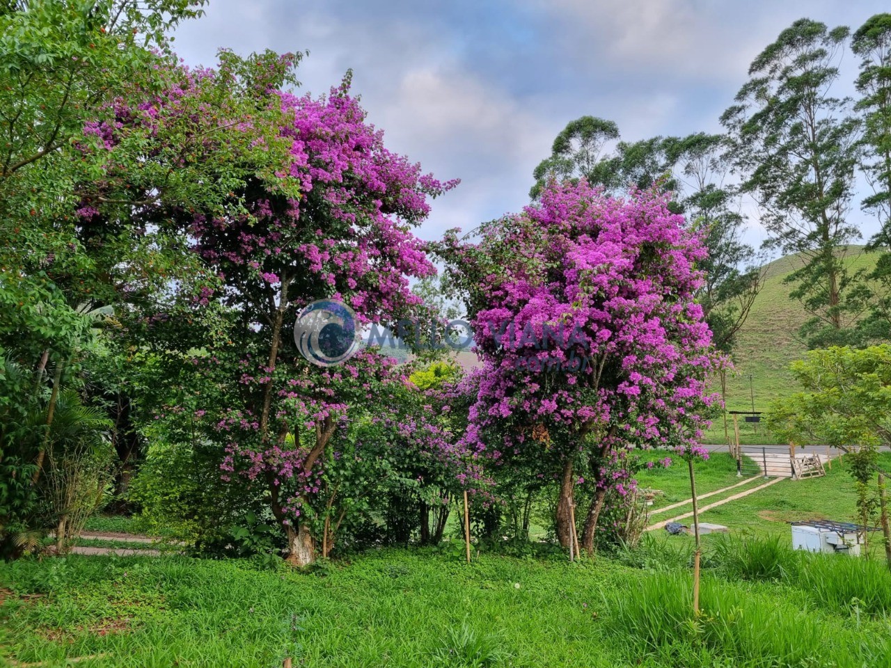 Fazenda, 128 m² - Foto 11