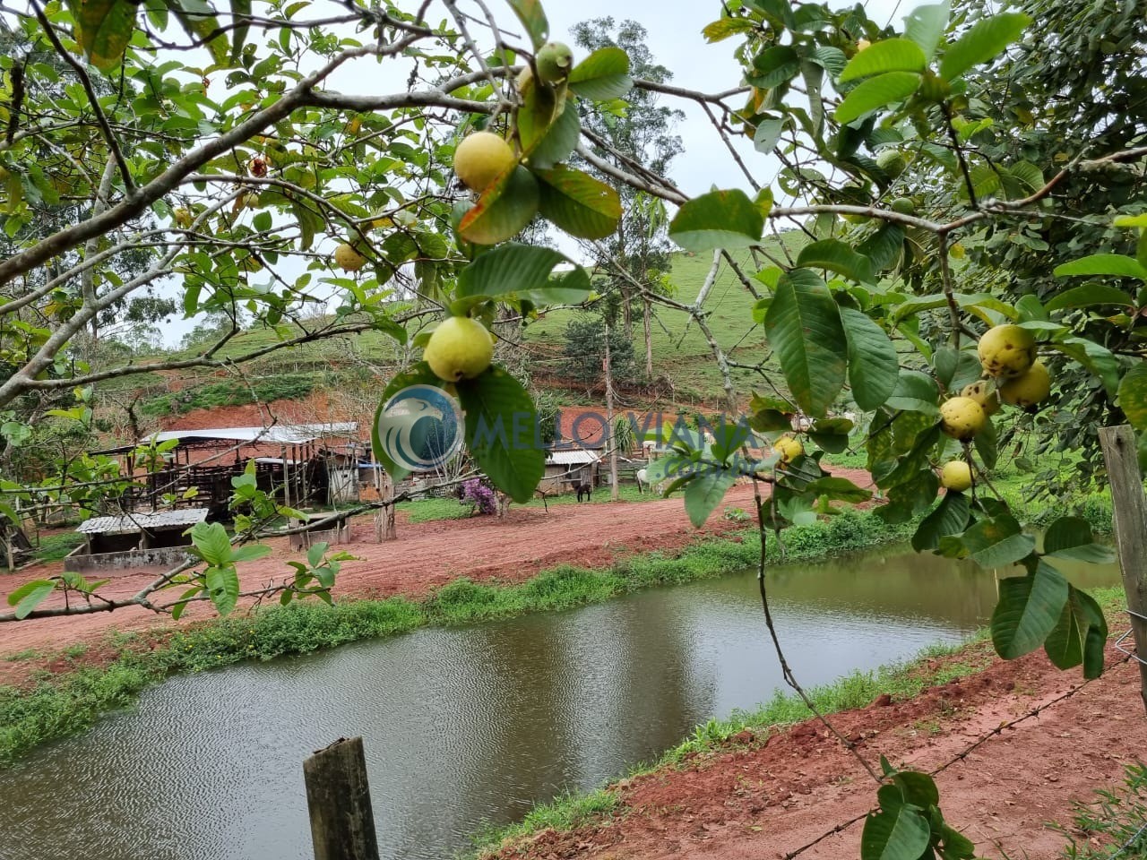 Fazenda, 128 m² - Foto 9