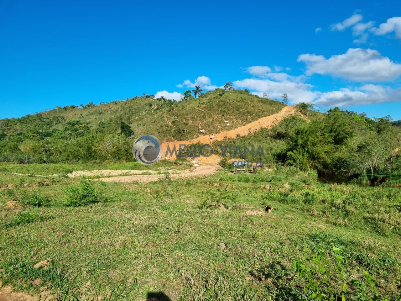 Fazenda-Sítio-Chácara, 128 m² - Foto 3