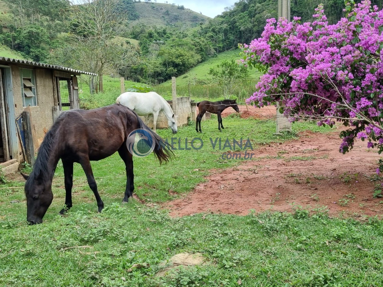 Fazenda, 128 m² - Foto 8