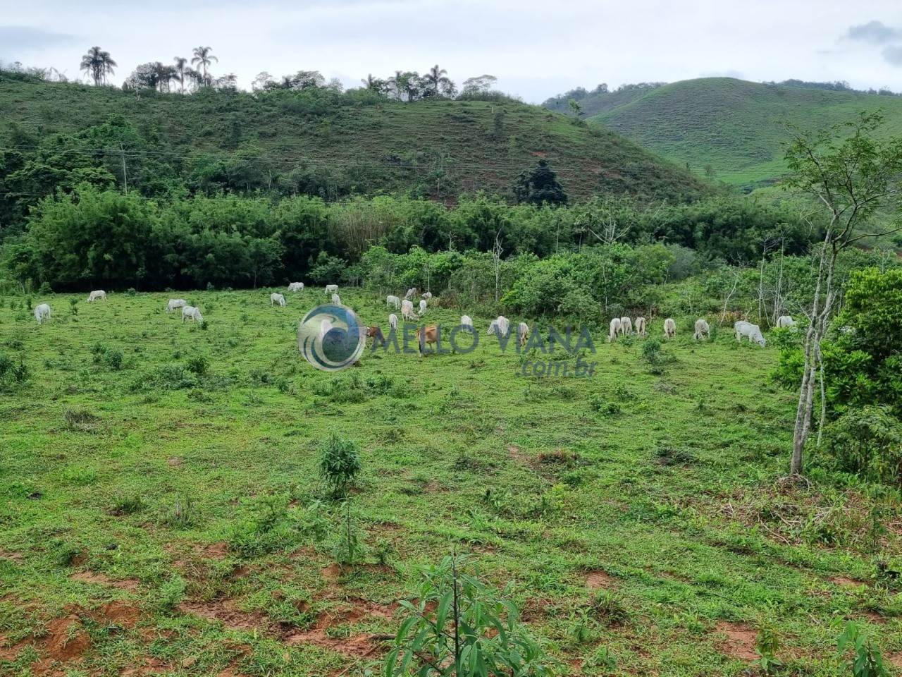 Fazenda-Sítio-Chácara, 128 m² - Foto 4