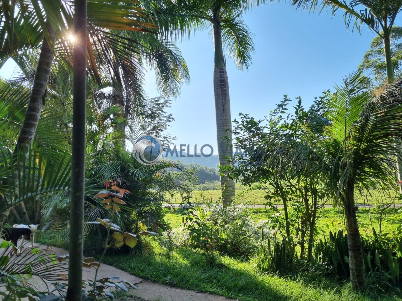 Fazenda, 128 m² - Foto 14