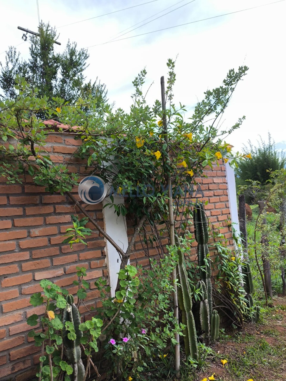 Chácara, 4 quartos, 5000 m² - Foto 23