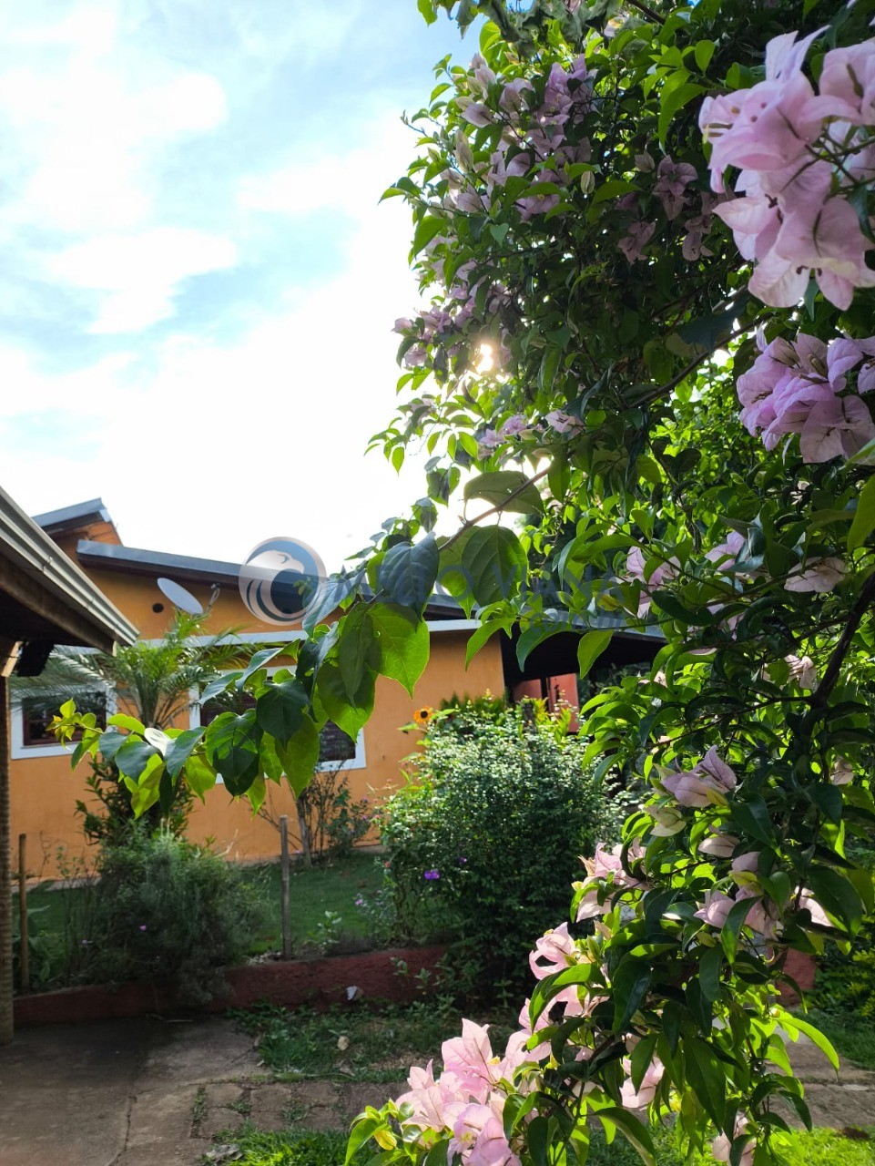 Chácara, 4 quartos, 5000 m² - Foto 10