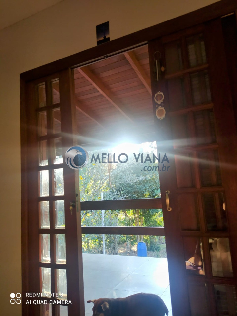 Chácara, 4 quartos, 5000 m² - Foto 14