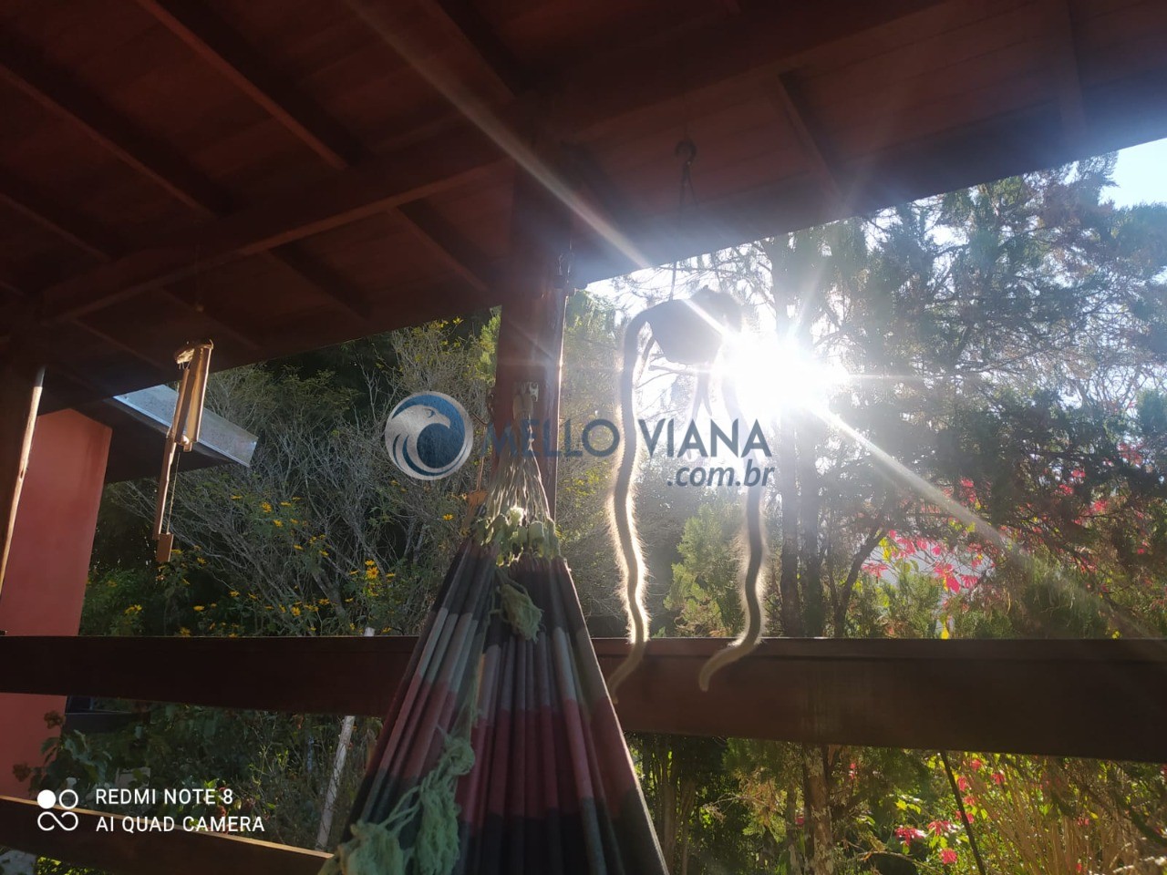 Chácara, 4 quartos, 5000 m² - Foto 4