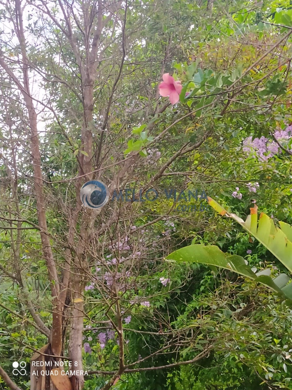 Chácara, 4 quartos, 5000 m² - Foto 20