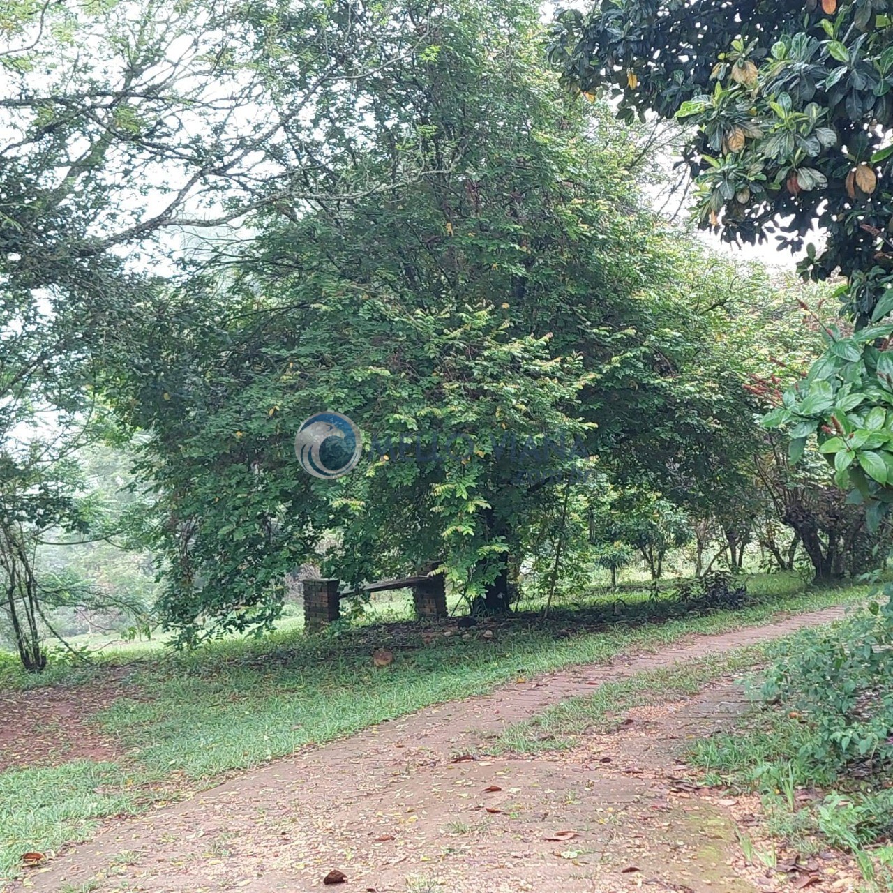 Chácara, 4 quartos, 5000 m² - Foto 12