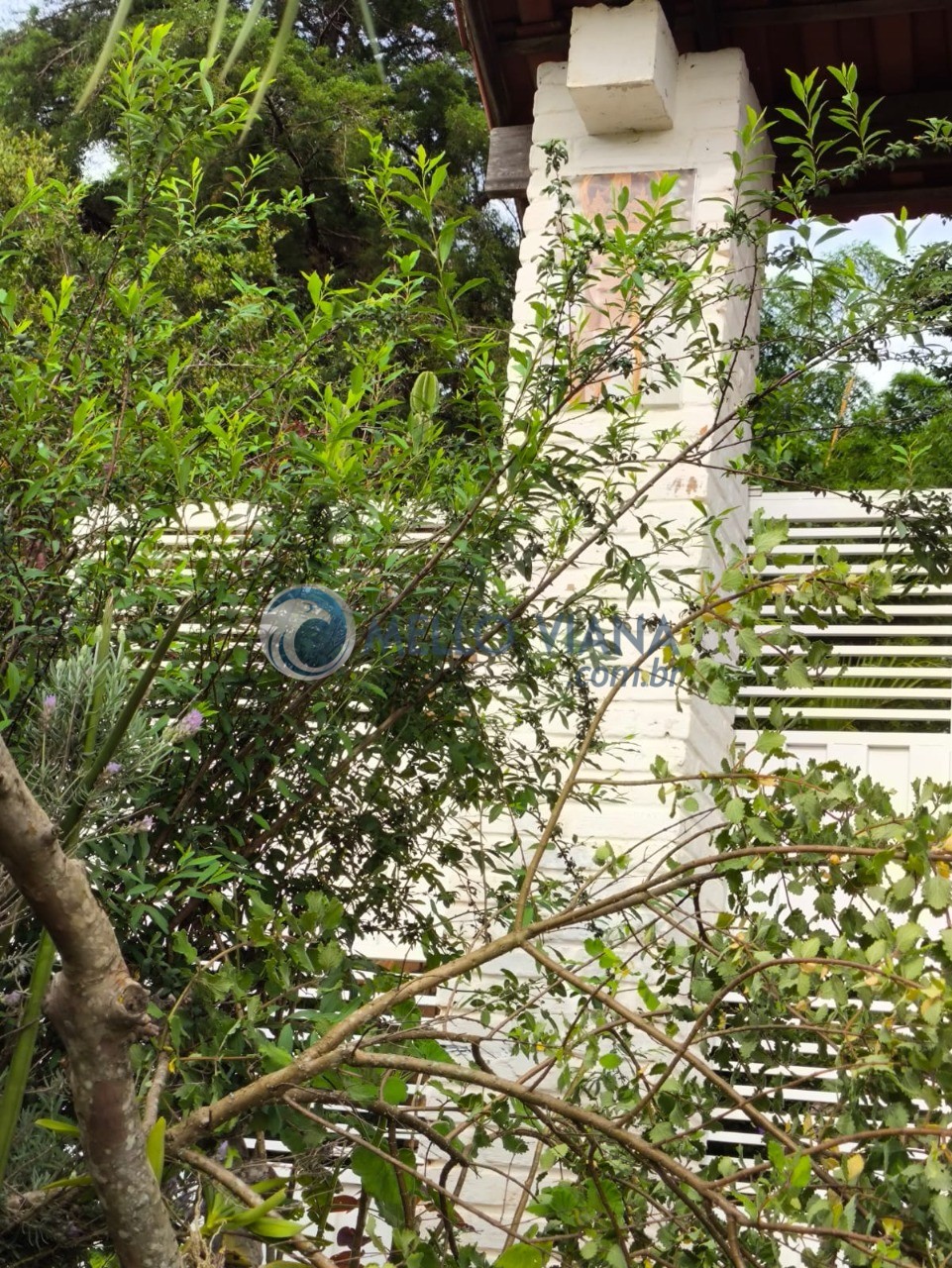 Chácara, 4 quartos, 5000 m² - Foto 16