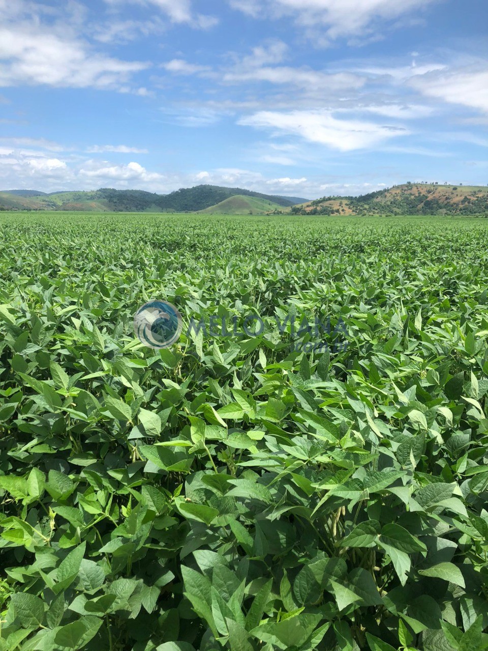 Fazenda, 4655 m² - Foto 2