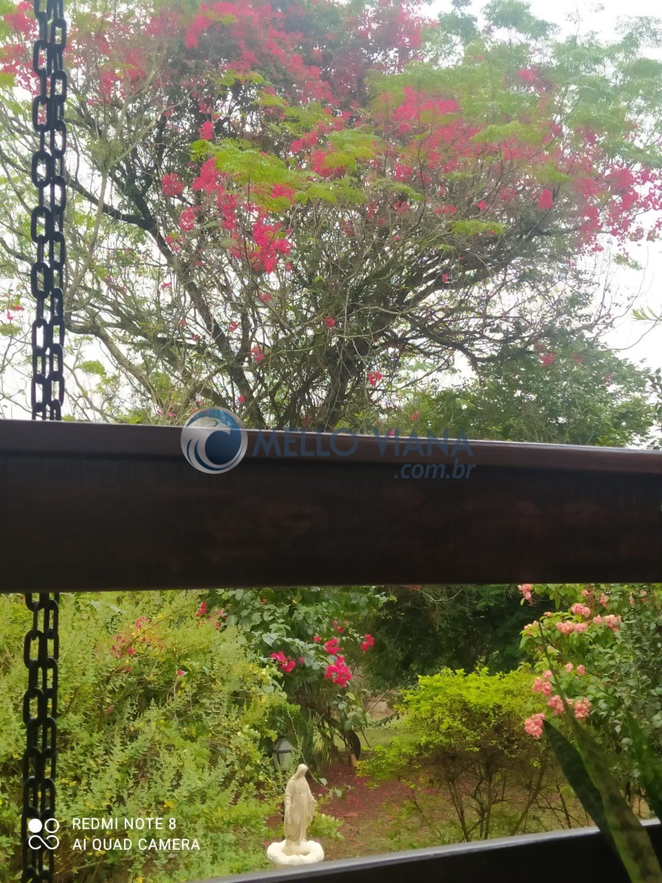 Chácara, 4 quartos, 5000 m² - Foto 29