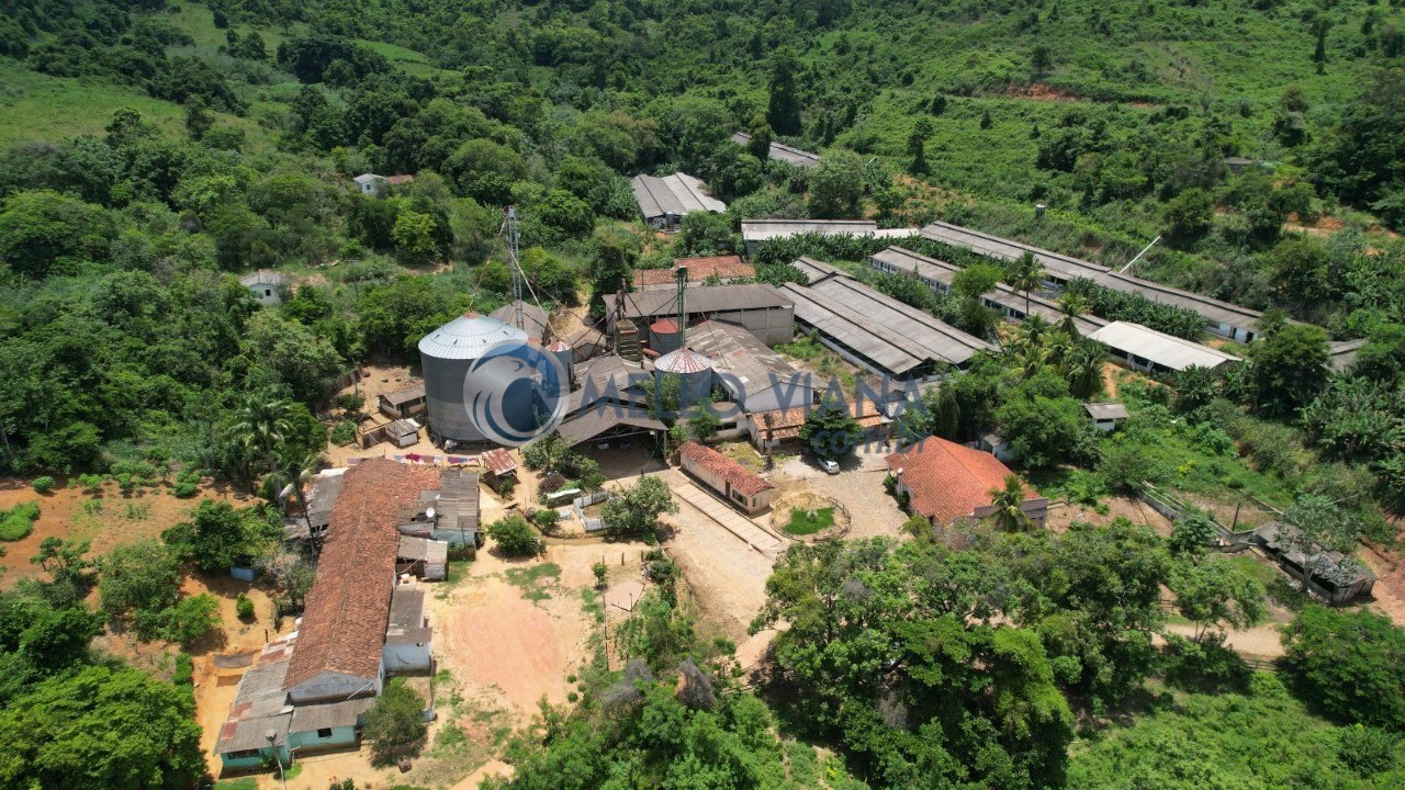 Fazenda, 4655 m² - Foto 19