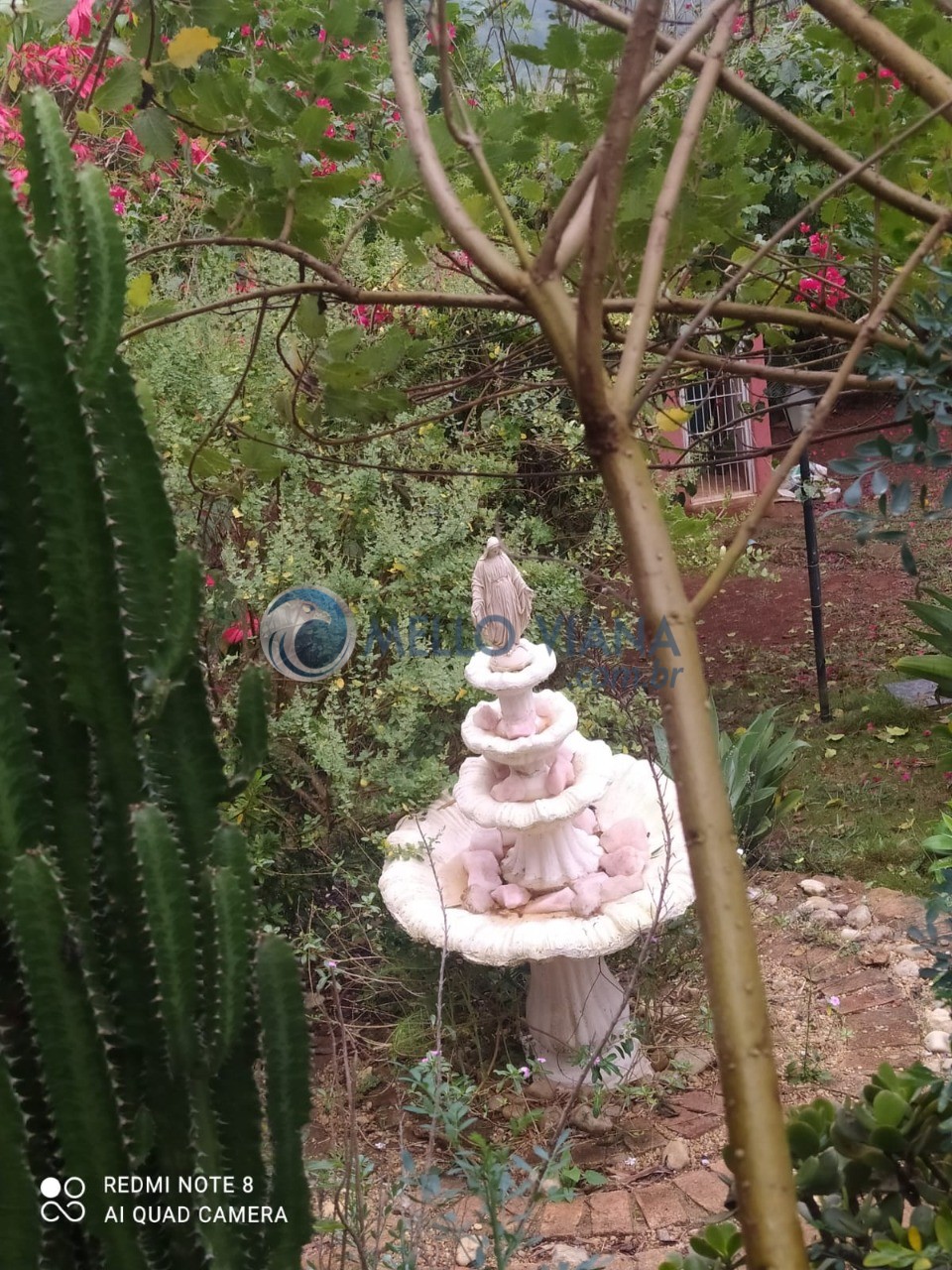 Chácara, 4 quartos, 5000 m² - Foto 36