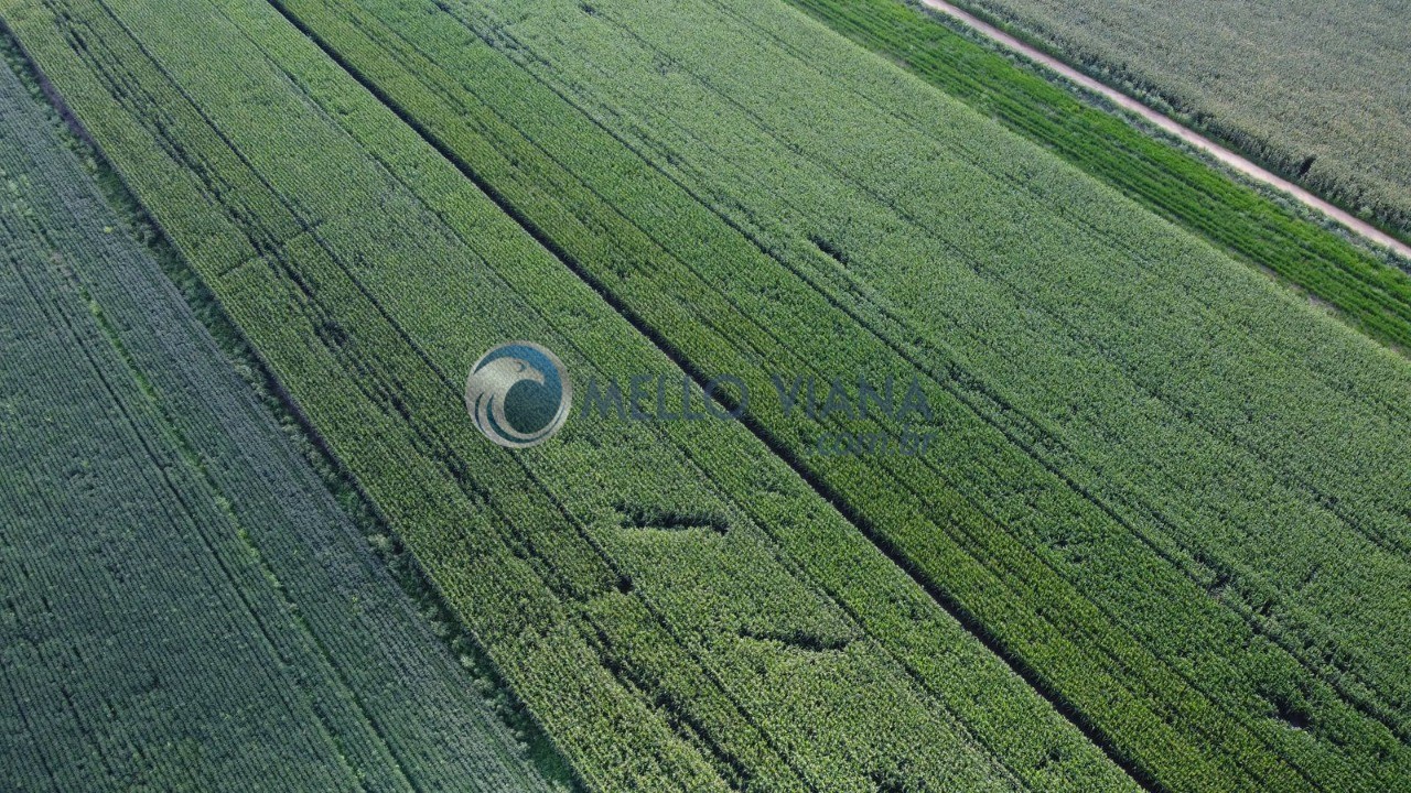 Fazenda, 4655 m² - Foto 9