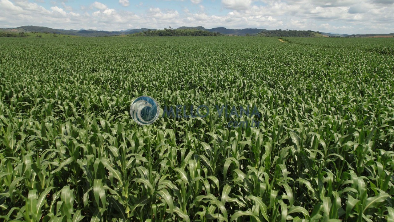 Fazenda, 4655 m² - Foto 18