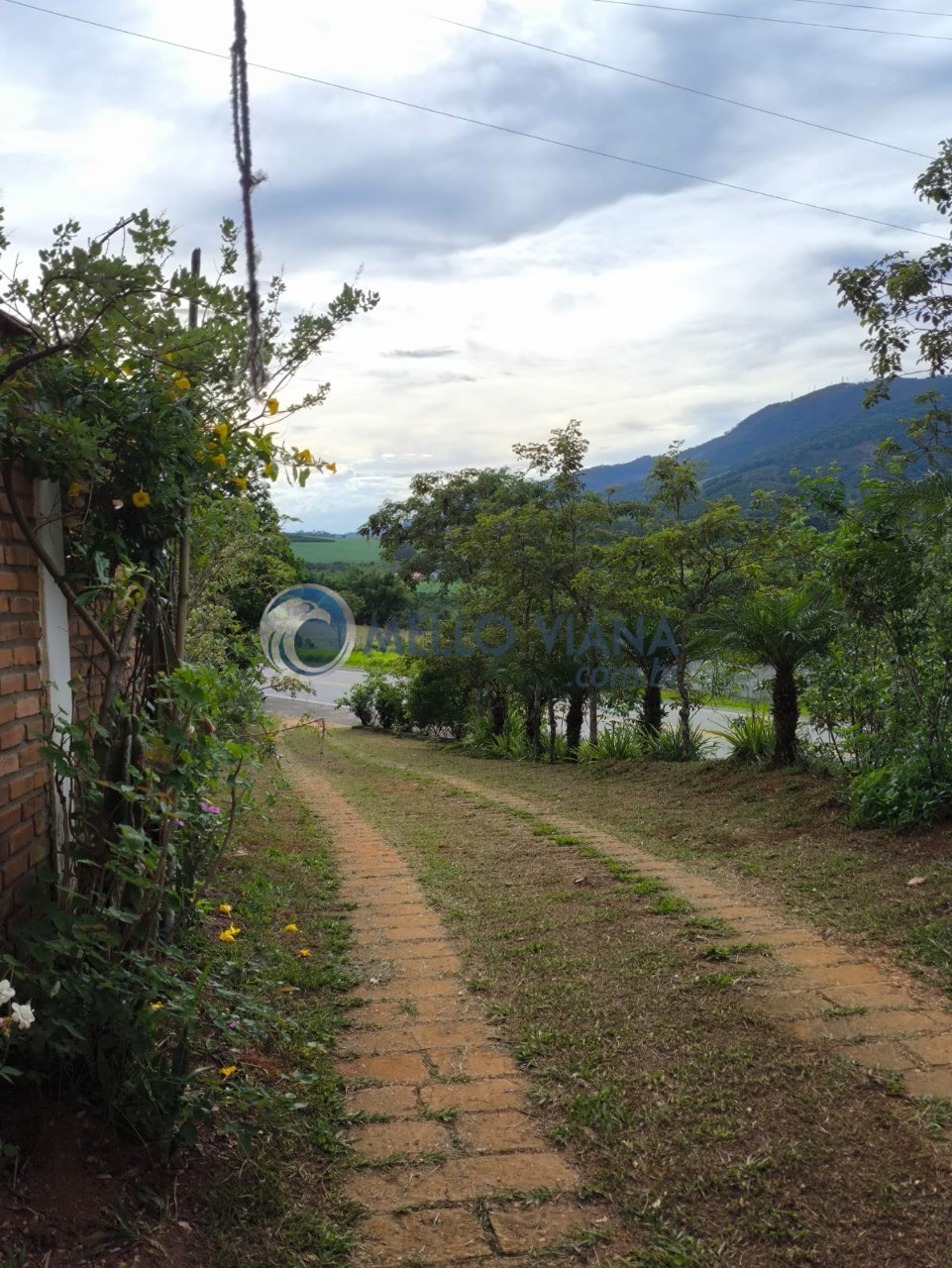 Chácara, 4 quartos, 5000 m² - Foto 19