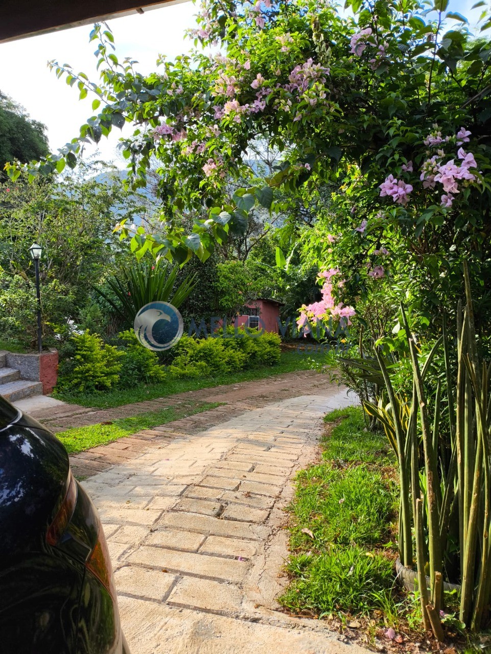 Chácara, 4 quartos, 5000 m² - Foto 21