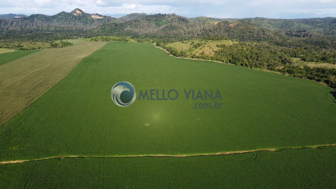 Fazenda, 4655 m² - Foto 11