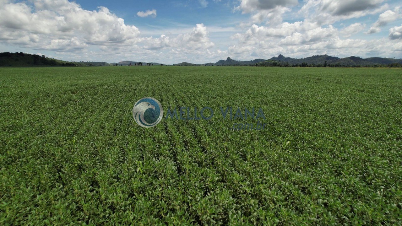 Fazenda, 4655 m² - Foto 20