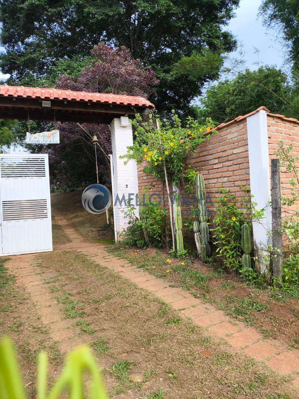 Chácara, 4 quartos, 5000 m² - Foto 24