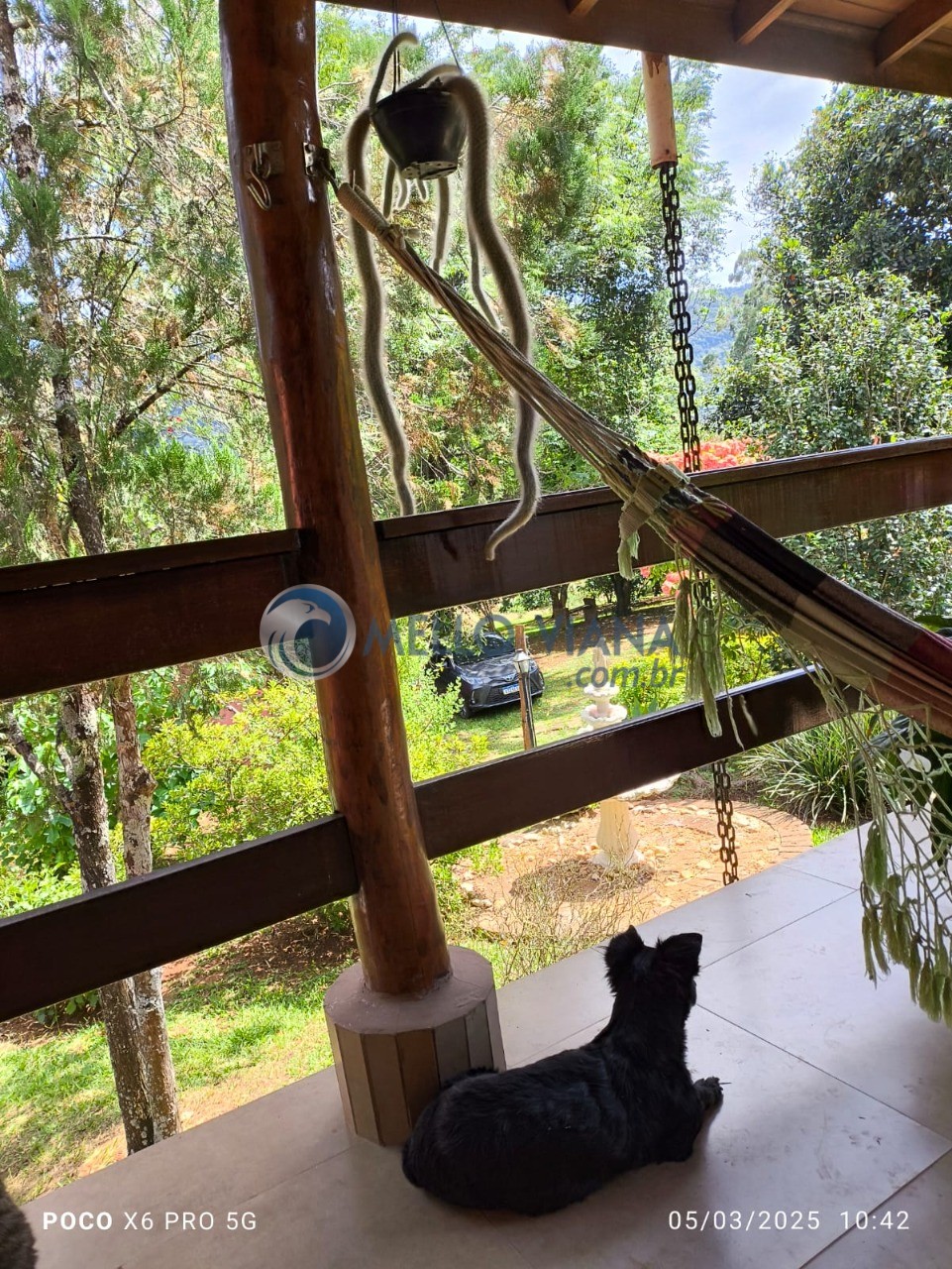 Chácara, 4 quartos, 5000 m² - Foto 9