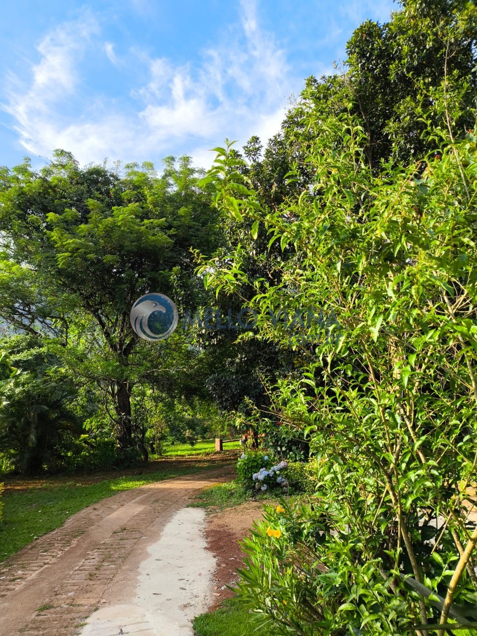 Chácara, 4 quartos, 5000 m² - Foto 17