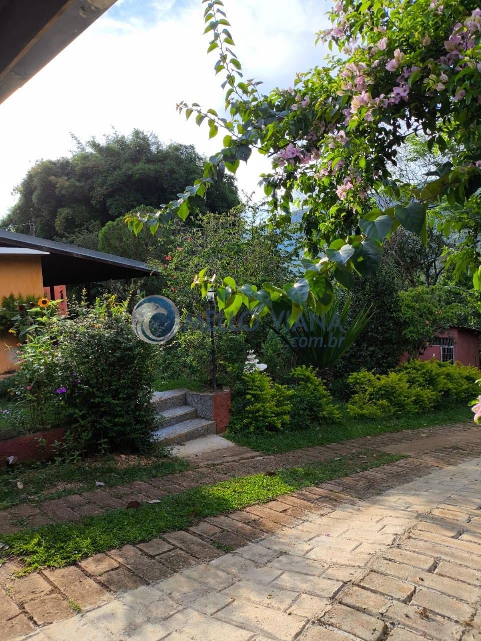 Chácara, 4 quartos, 5000 m² - Foto 8