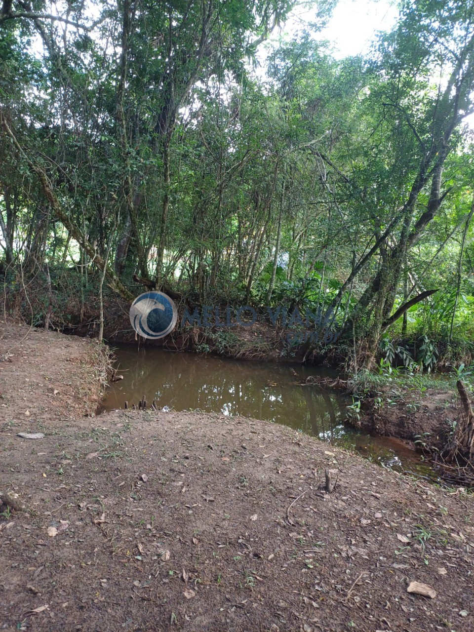 Casa, 5 quartos, 7000 m² - Foto 13