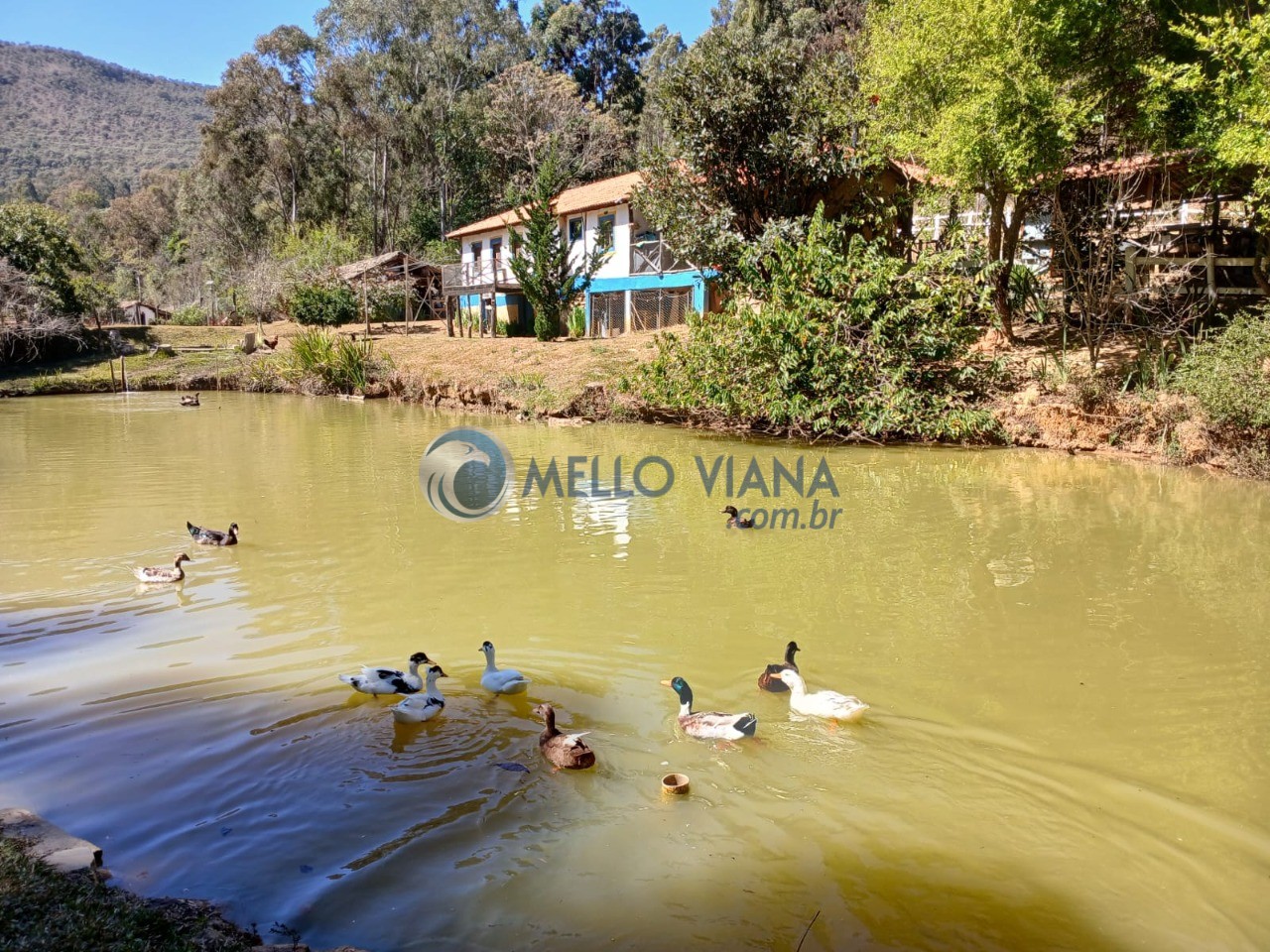 Fazenda, 70 m² - Foto 12