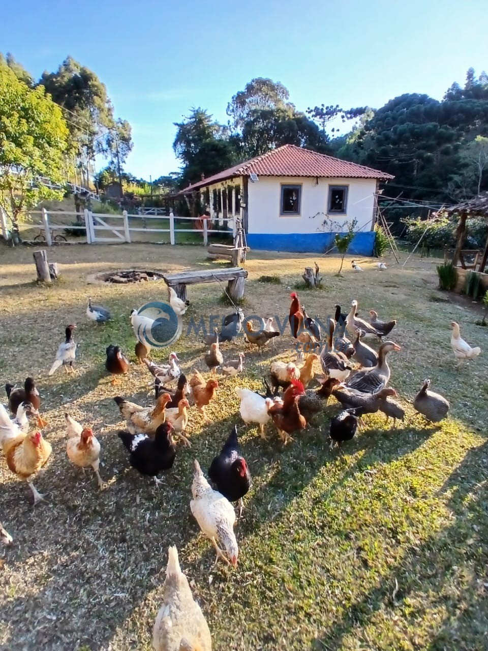 Fazenda, 70 m² - Foto 9