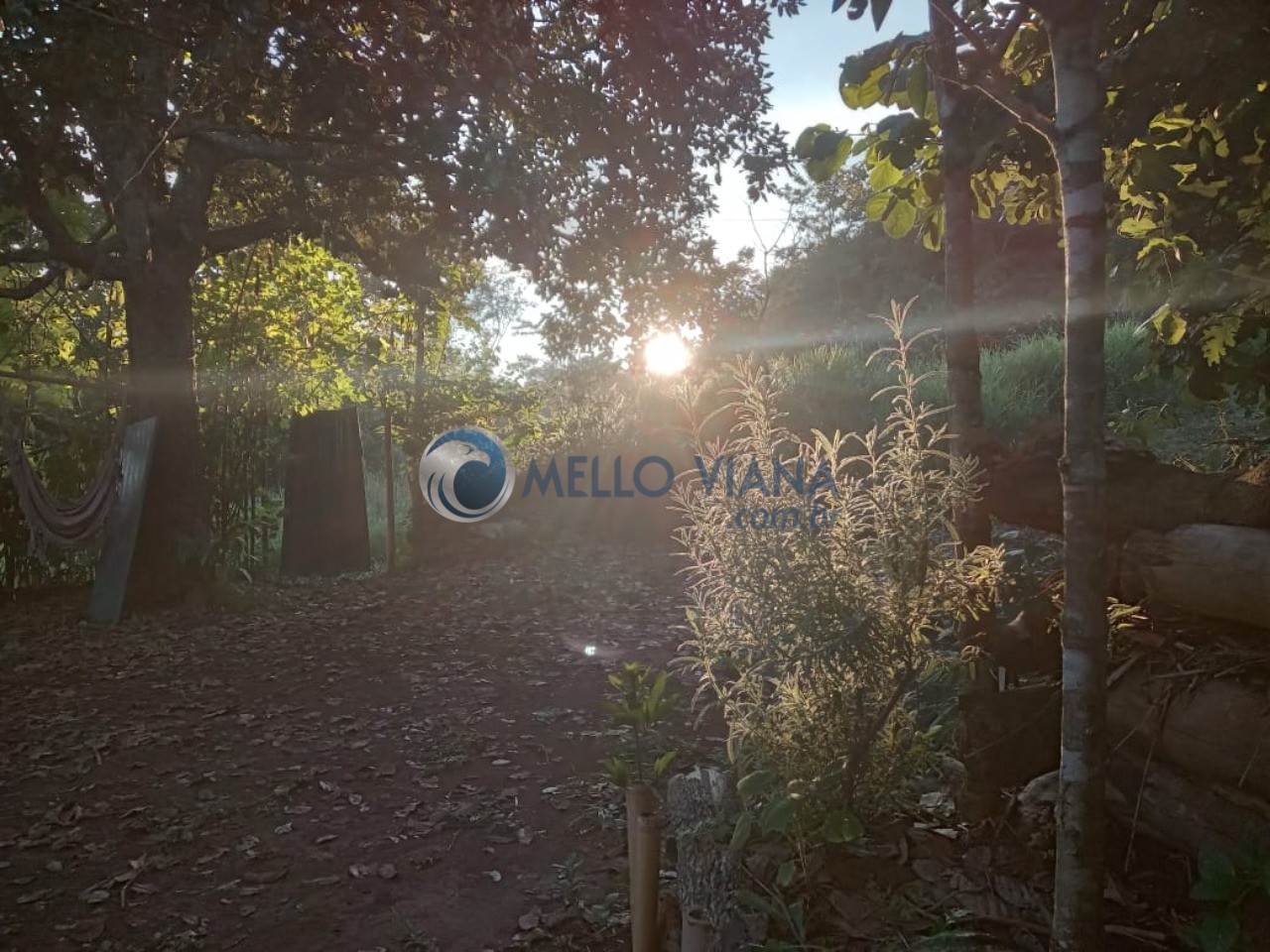 Chácara, 2 quartos, 2029 m² - Foto 11