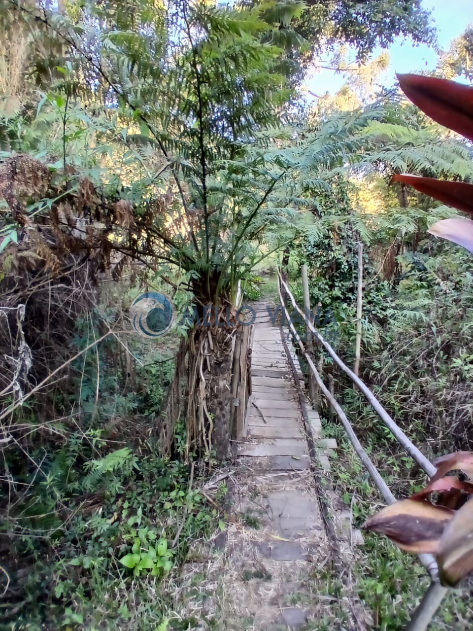 Fazenda, 70 m² - Foto 2