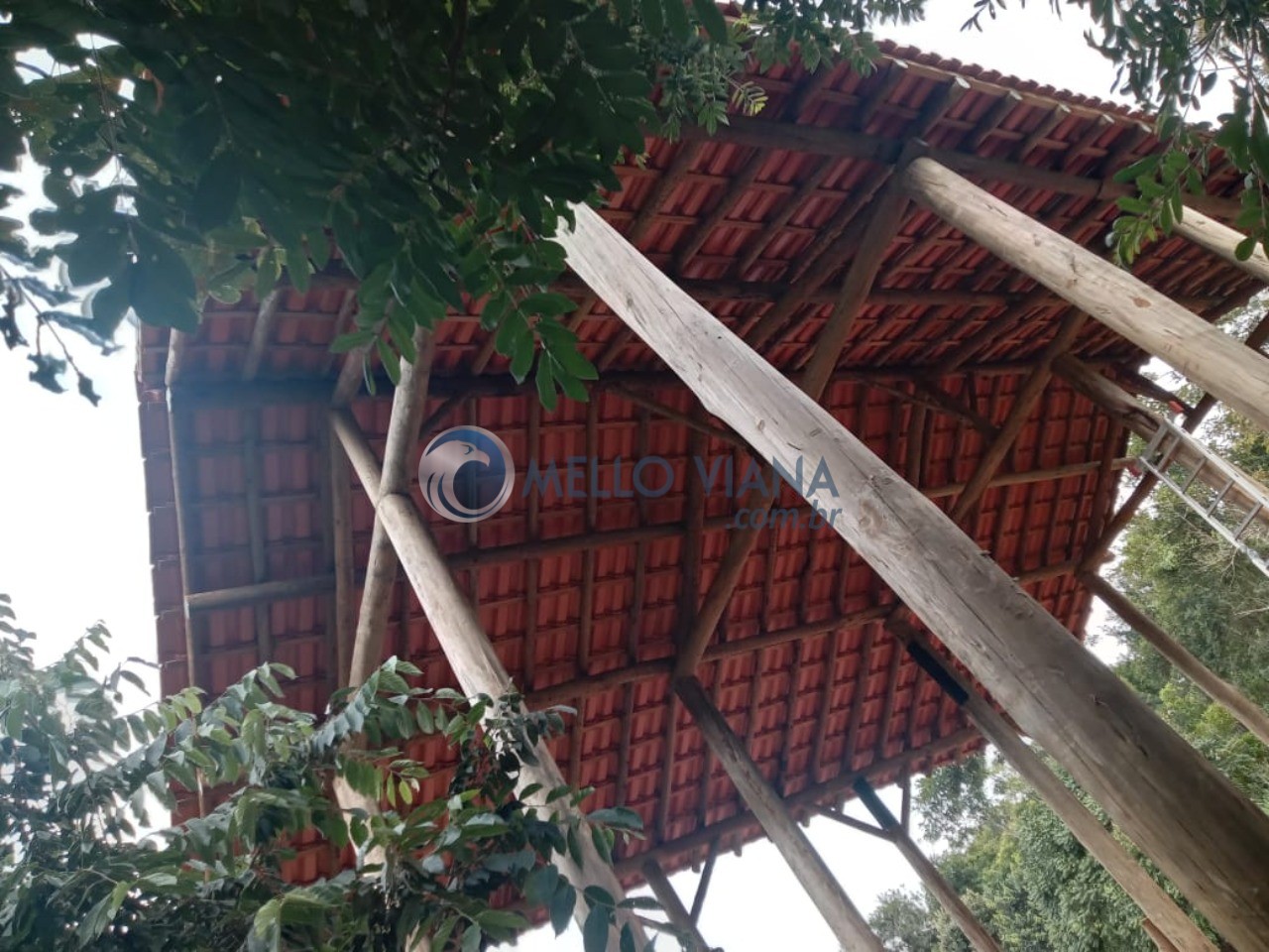 Chácara, 2 quartos, 2029 m² - Foto 2