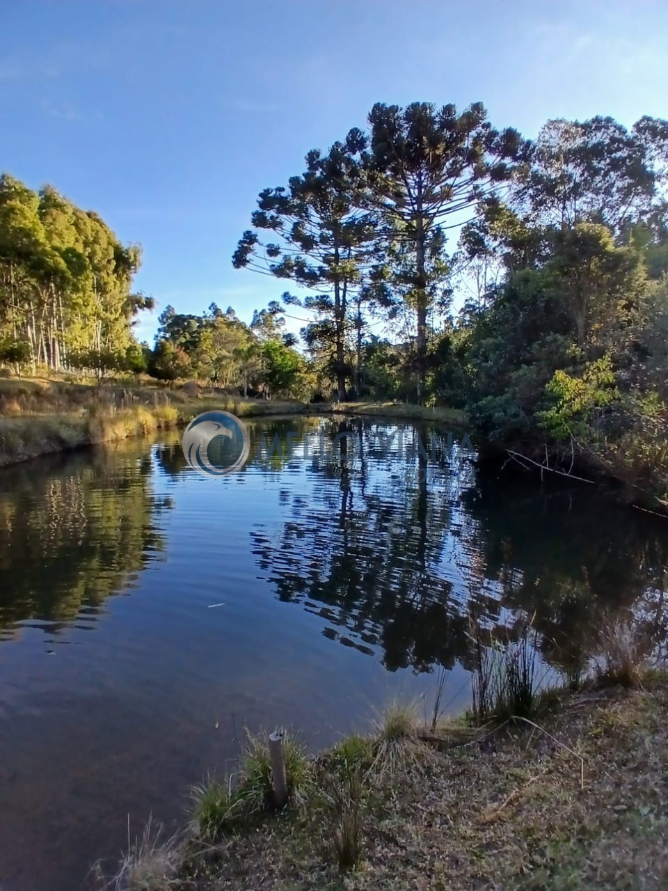 Fazenda, 70 m² - Foto 8