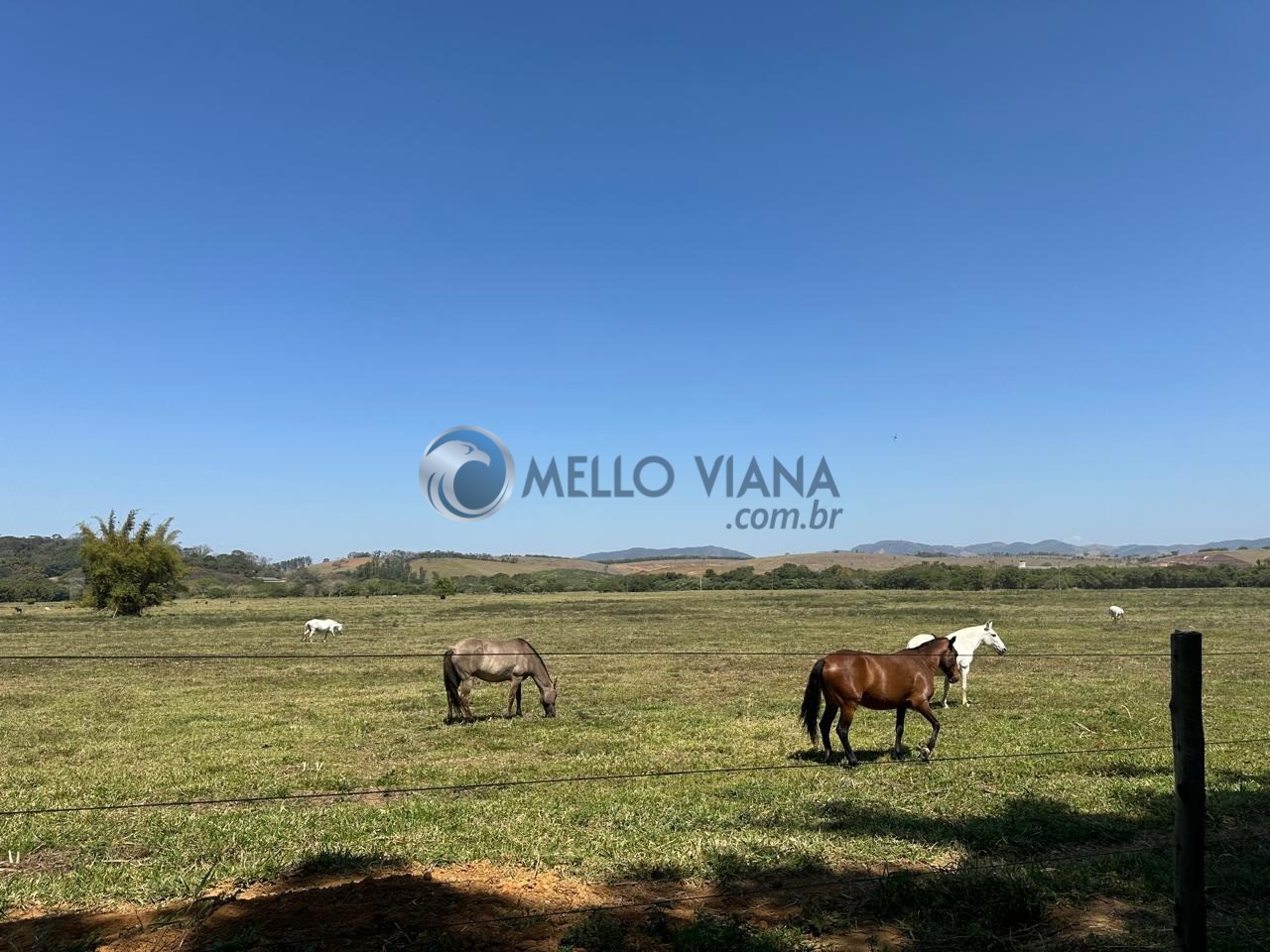 Fazenda, 1953 m² - Foto 23