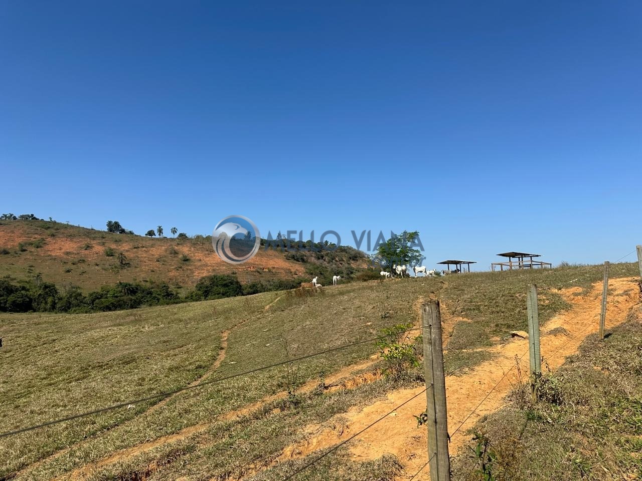 Fazenda, 1953 m² - Foto 12