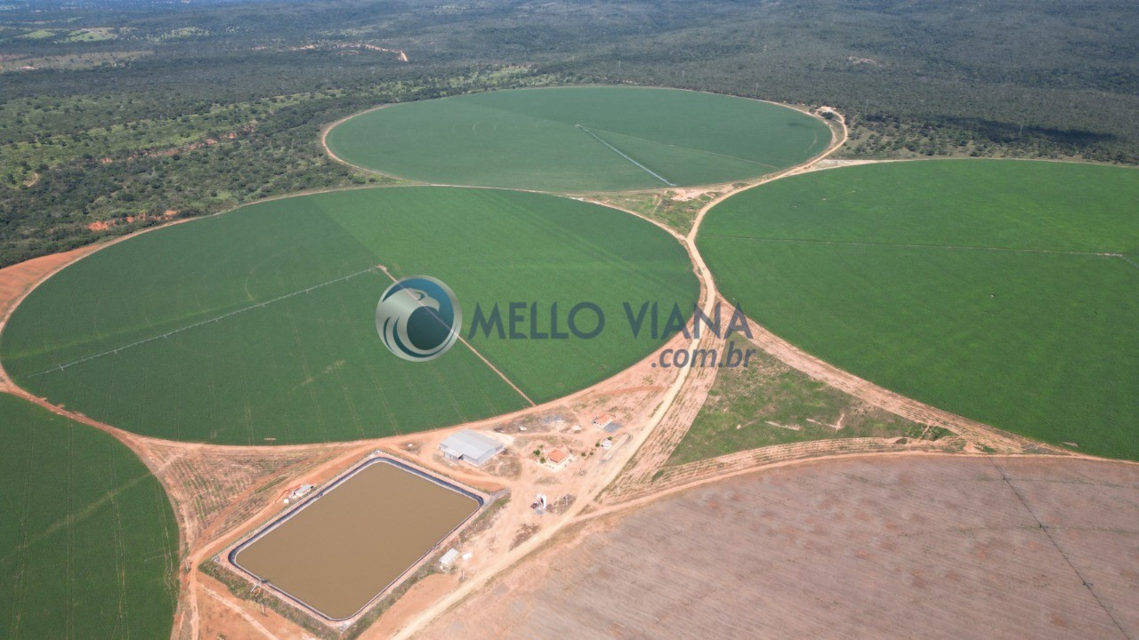 Fazenda, 2152 m² - Foto 1