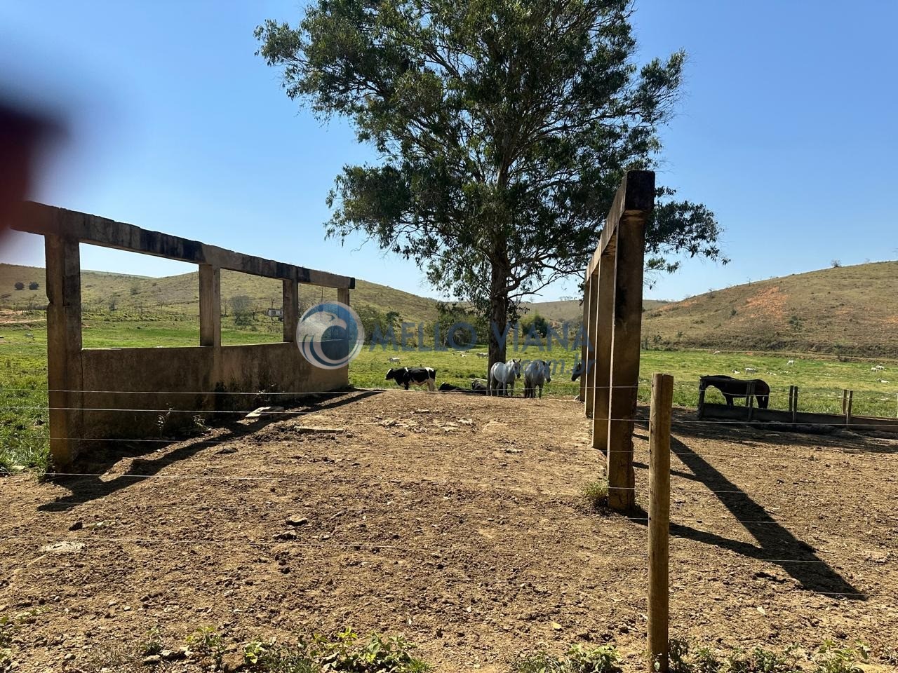 Fazenda, 1953 m² - Foto 24