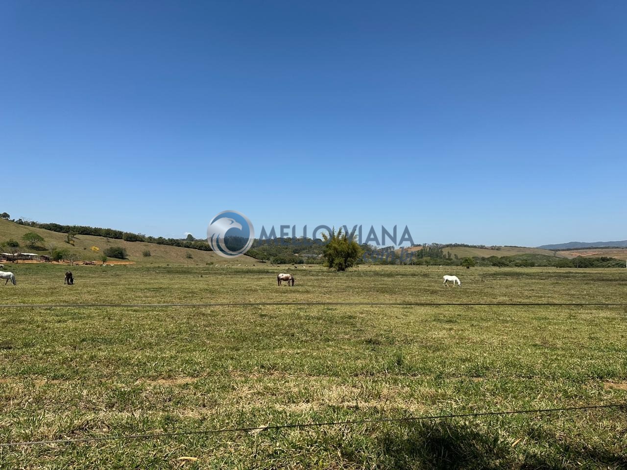 Fazenda, 1953 m² - Foto 6