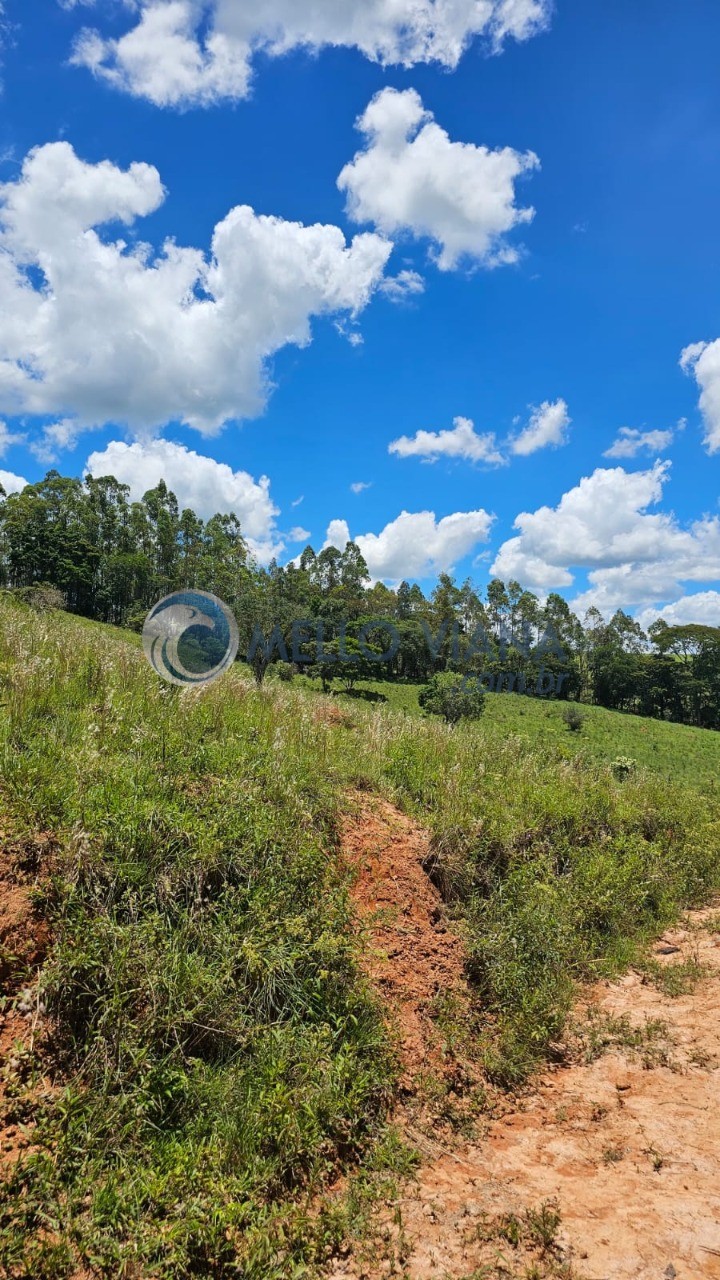 Sítio, 7 quartos, 3 m² - Foto 32