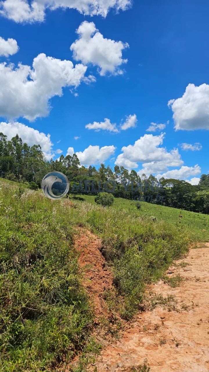 Sítio, 7 quartos, 3 m² - Foto 33