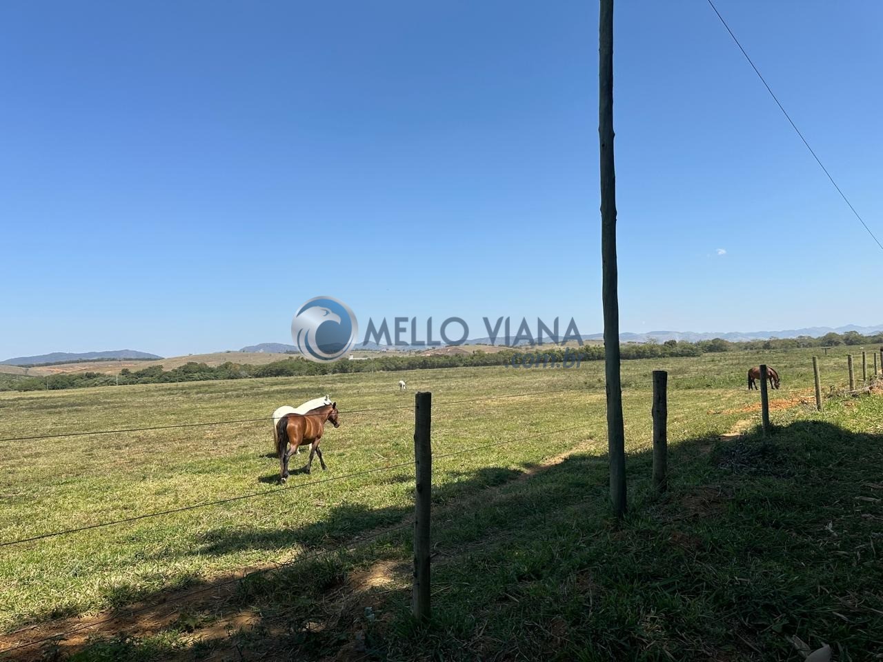 Fazenda, 1953 m² - Foto 4