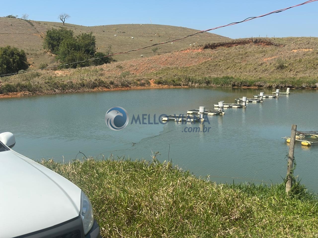 Fazenda, 1953 m² - Foto 1