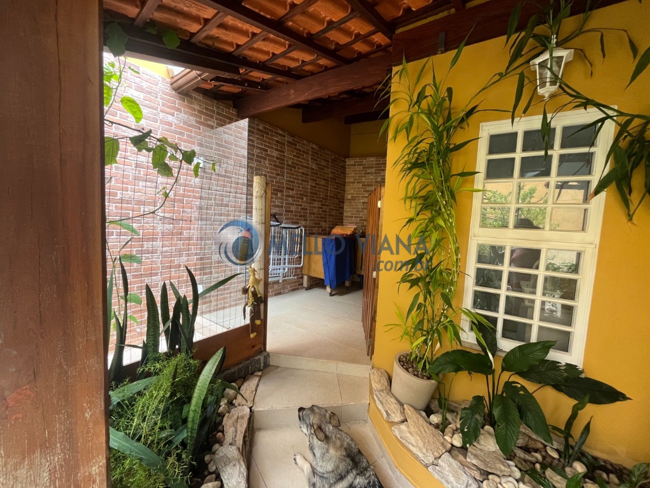 Casa, 3 quartos - Foto 35